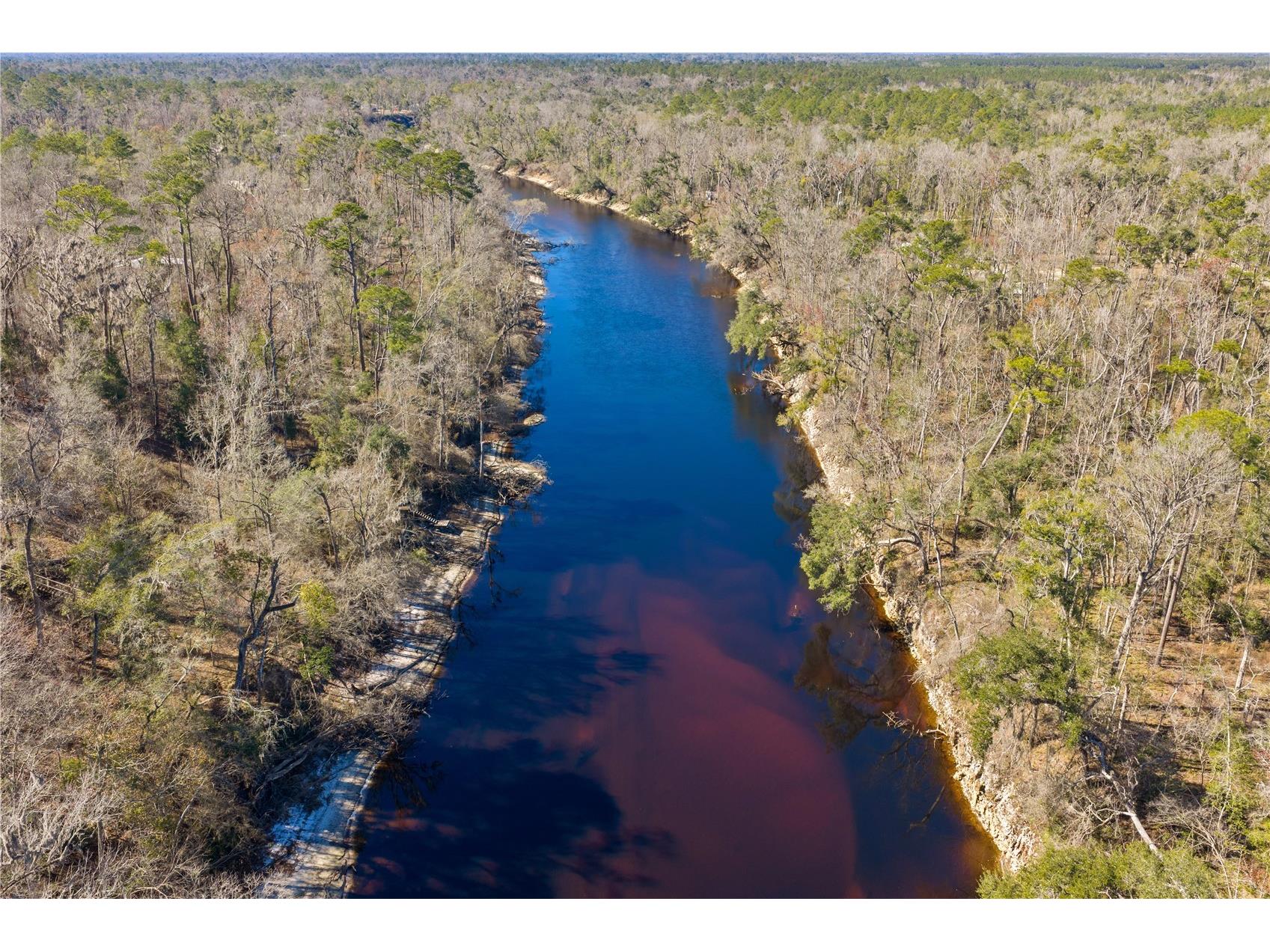 12th Terrace Live Oak FL 32060 TB8468820 image14