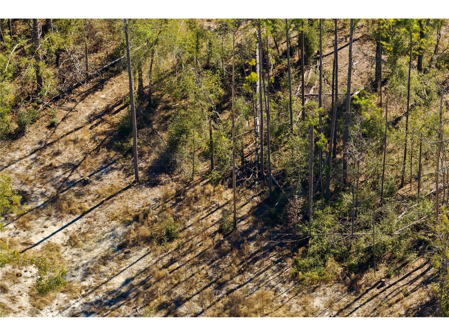 12th Terrace Live Oak FL 32060 TB8468820 image30