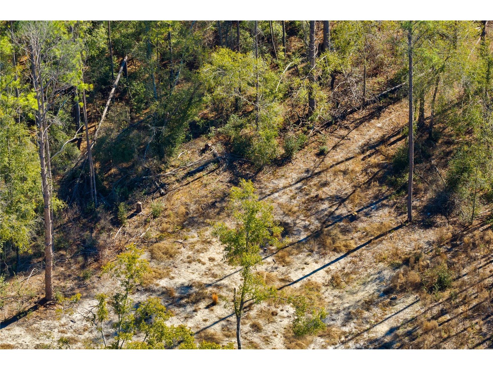 12th Terrace Live Oak FL 32060 TB8468820 image32