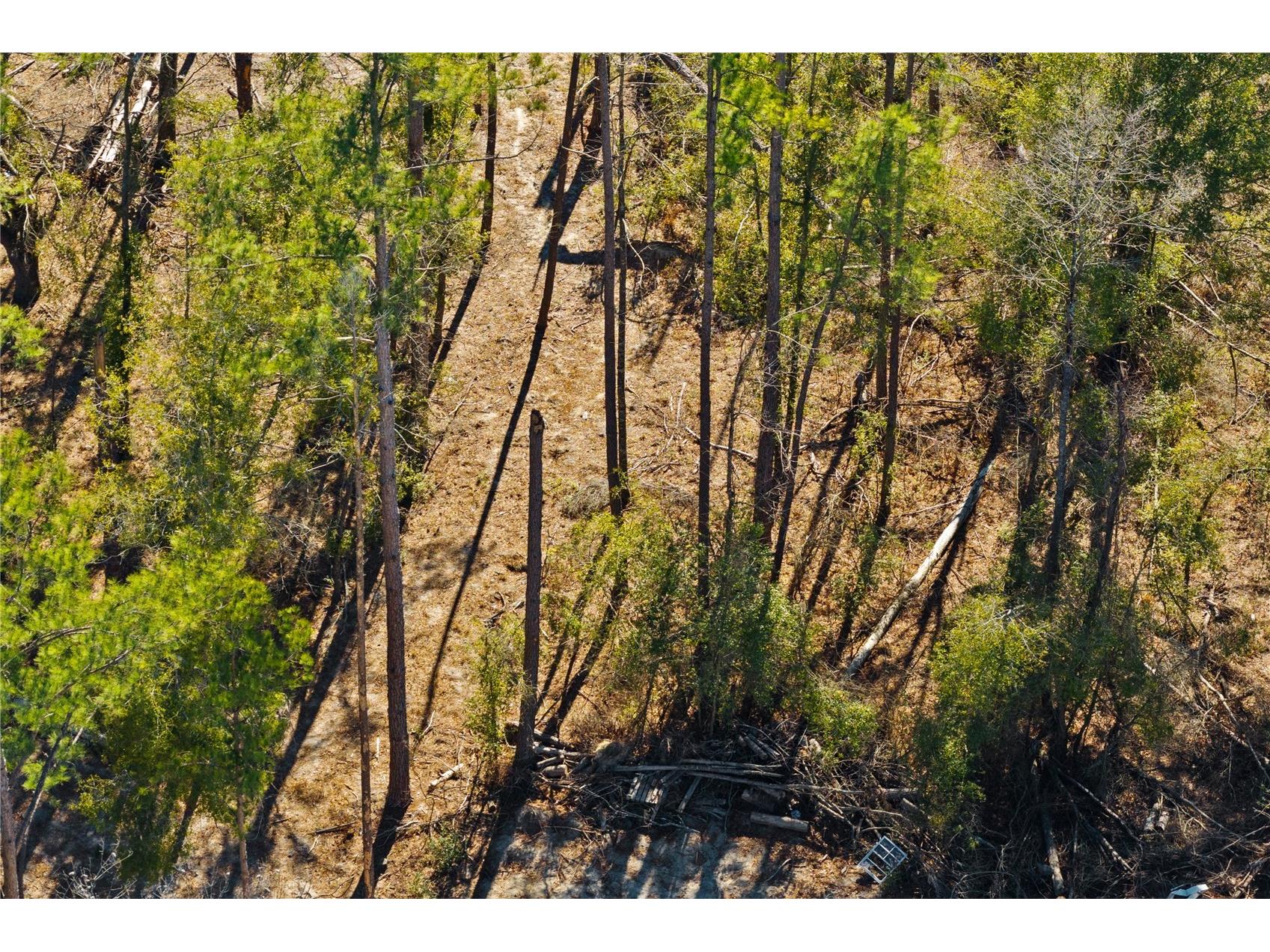 12th Terrace Live Oak FL 32060 TB8468820 image34
