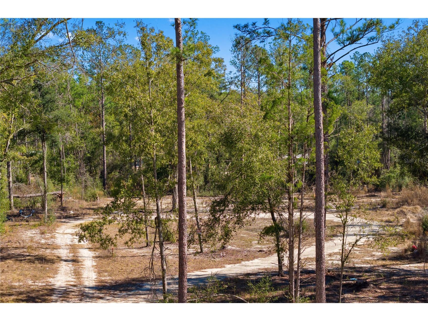 12th Terrace Live Oak FL 32060 TB8468820 image42