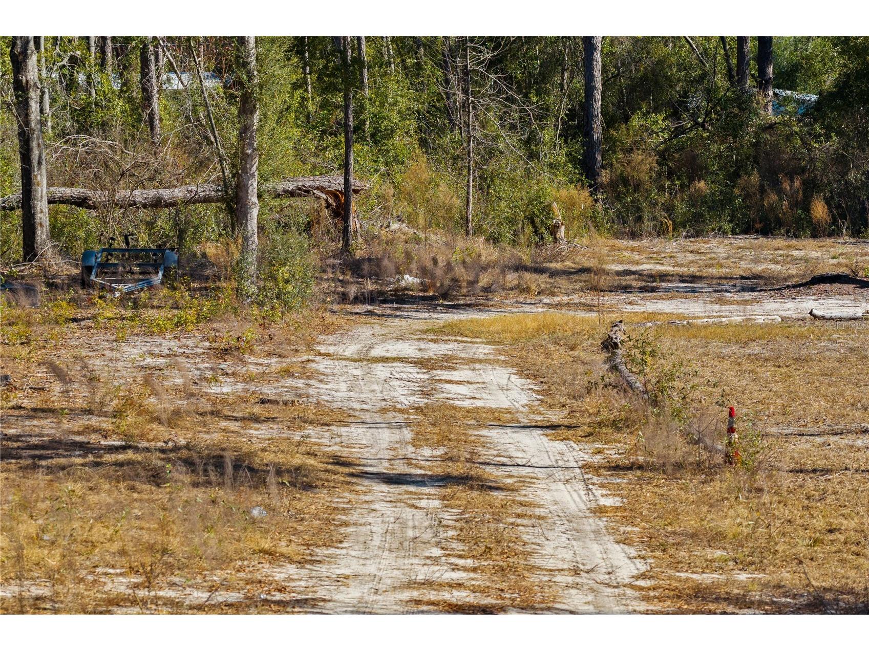 12th Terrace Live Oak FL 32060 TB8468820 image50