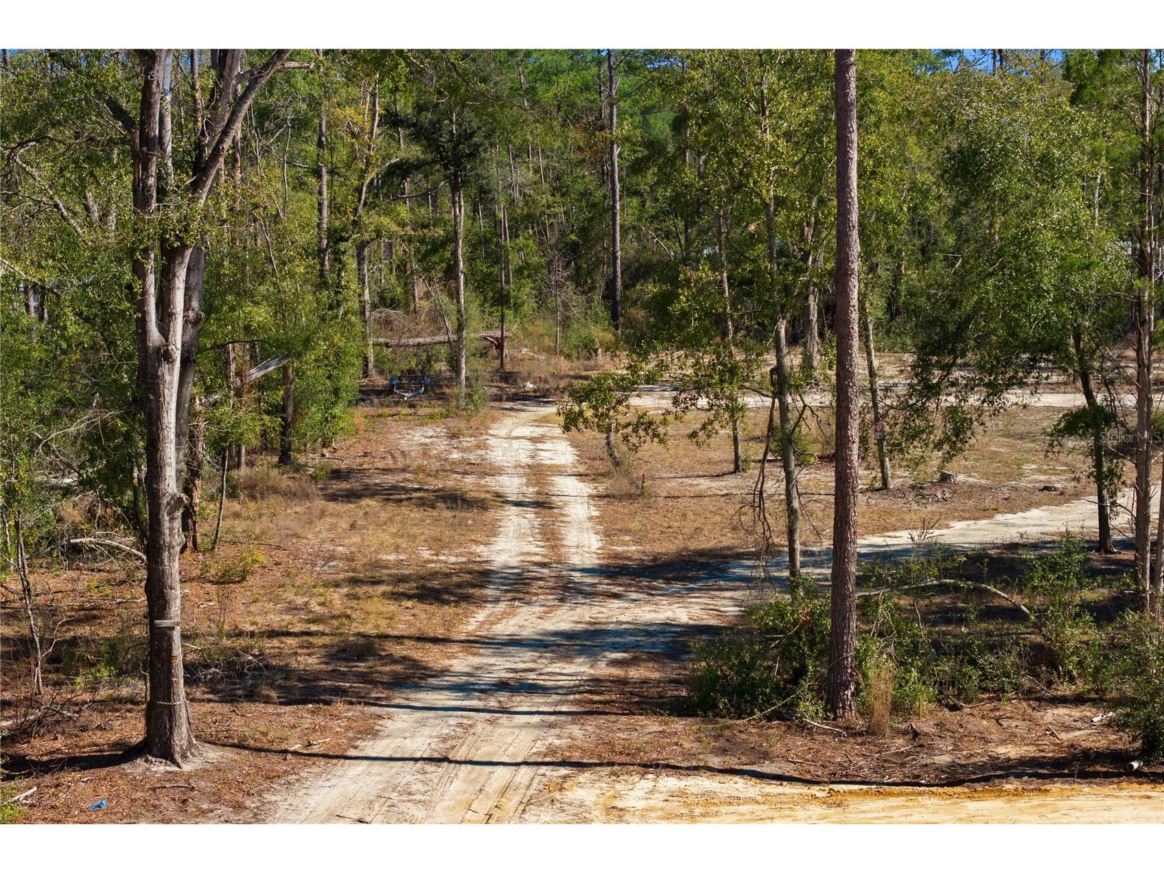 12th Terrace Live Oak FL 32060 TB8468820 image51