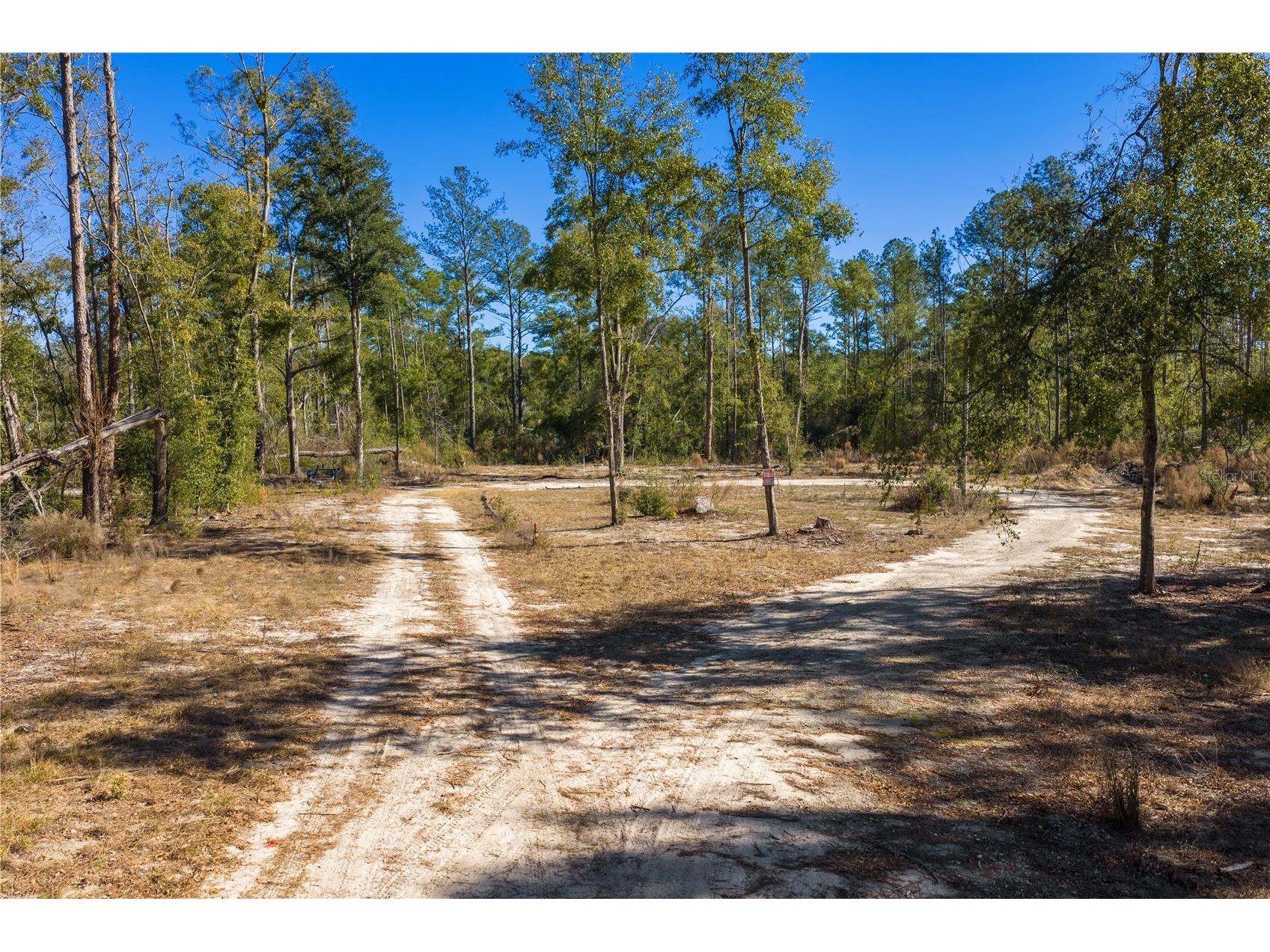 12th Terrace Live Oak FL 32060 TB8468820 image53