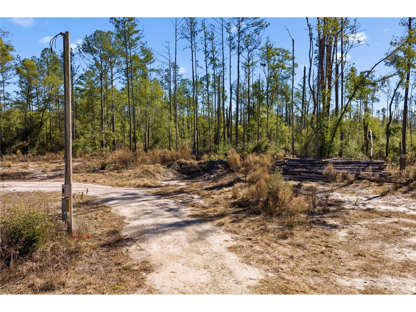 12th Terrace Live Oak FL 32060 TB8468820 image56