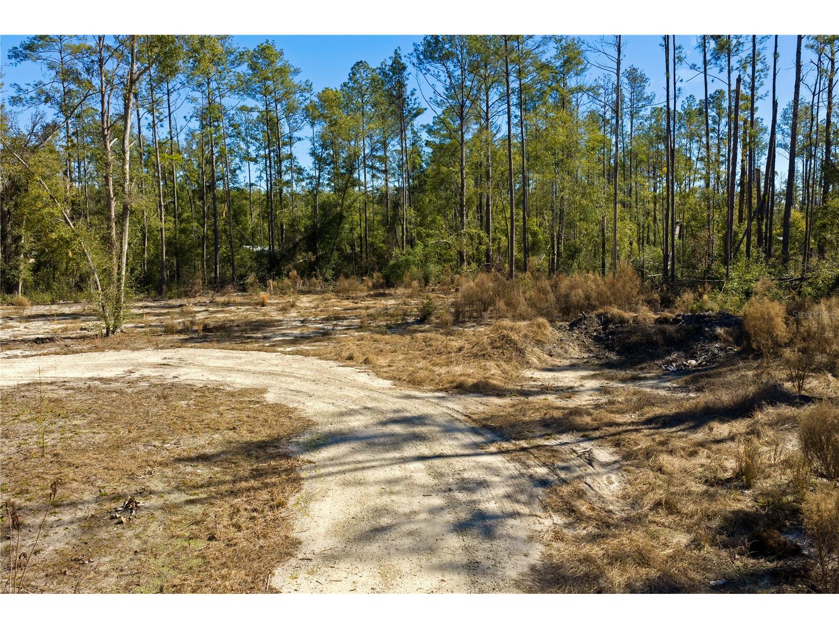 12th Terrace Live Oak FL 32060 TB8468820 image57