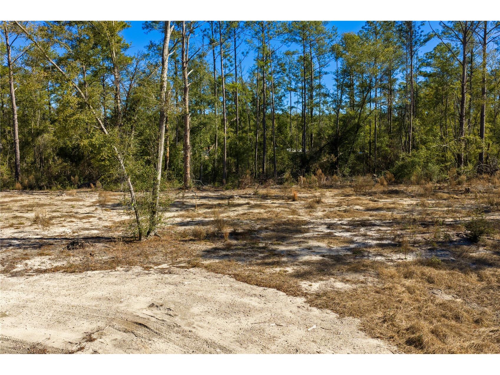 12th Terrace Live Oak FL 32060 TB8468820 image58