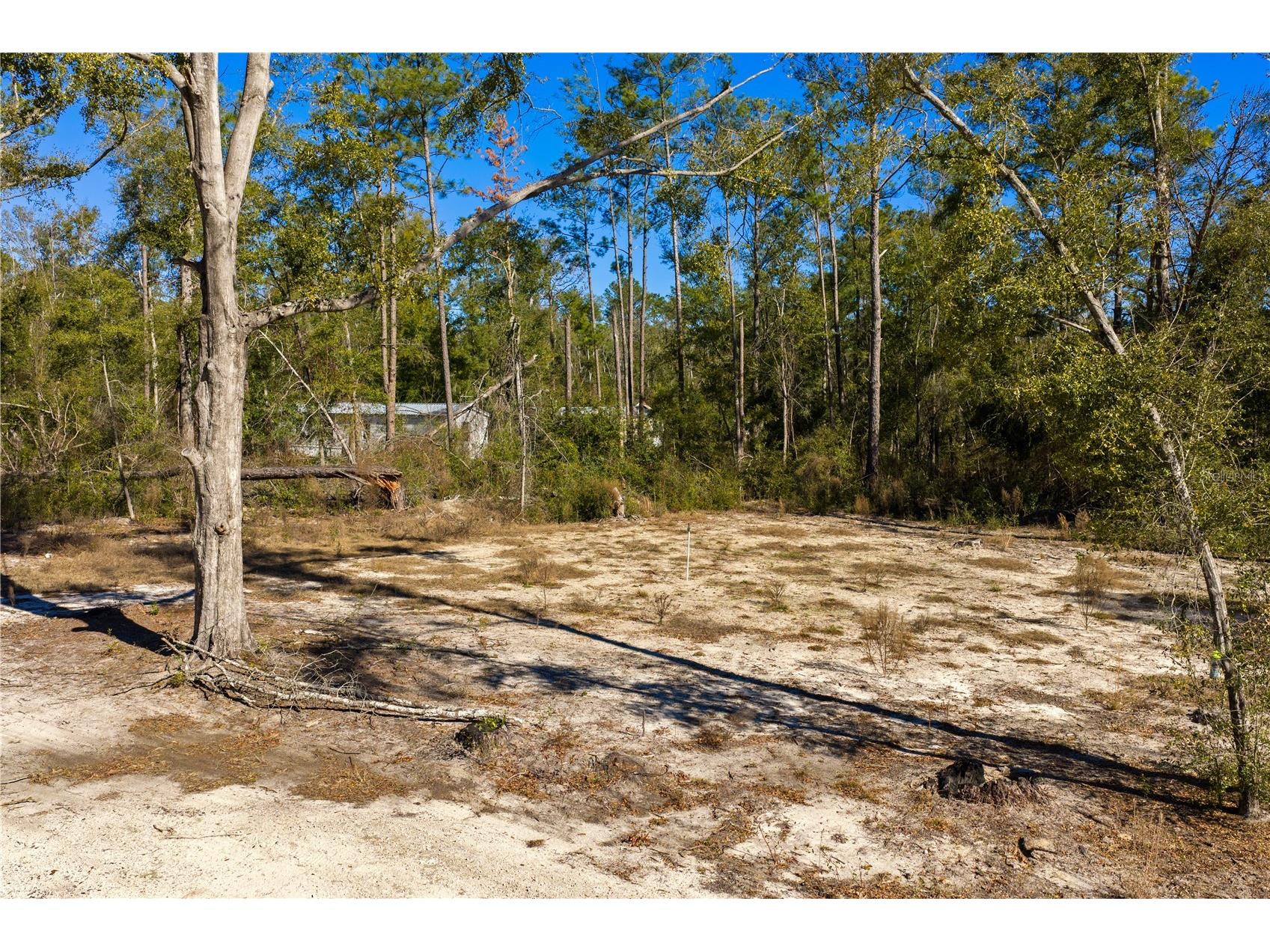 12th Terrace Live Oak FL 32060 TB8468820 image59