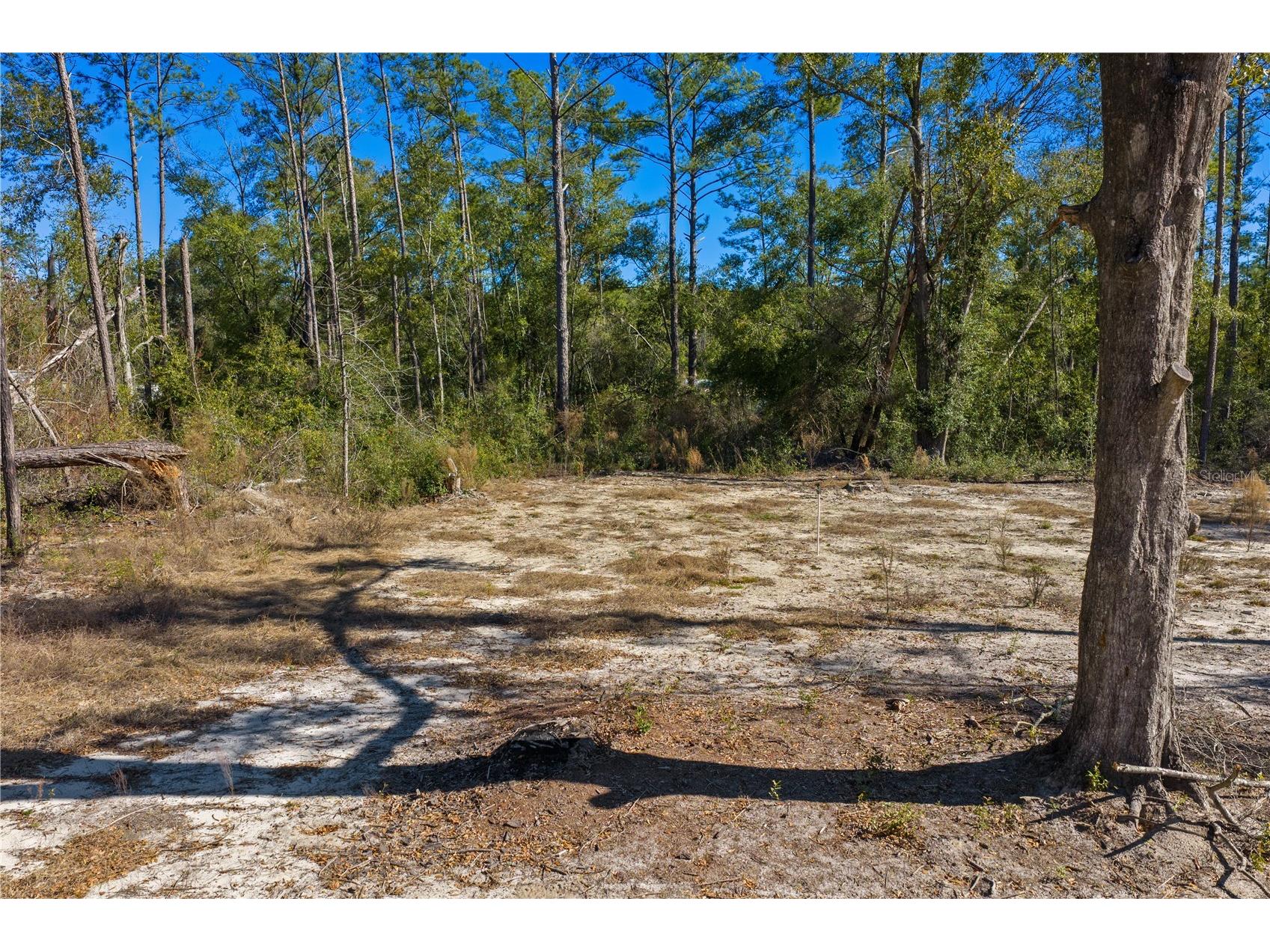 12th Terrace Live Oak FL 32060 TB8468820 image62