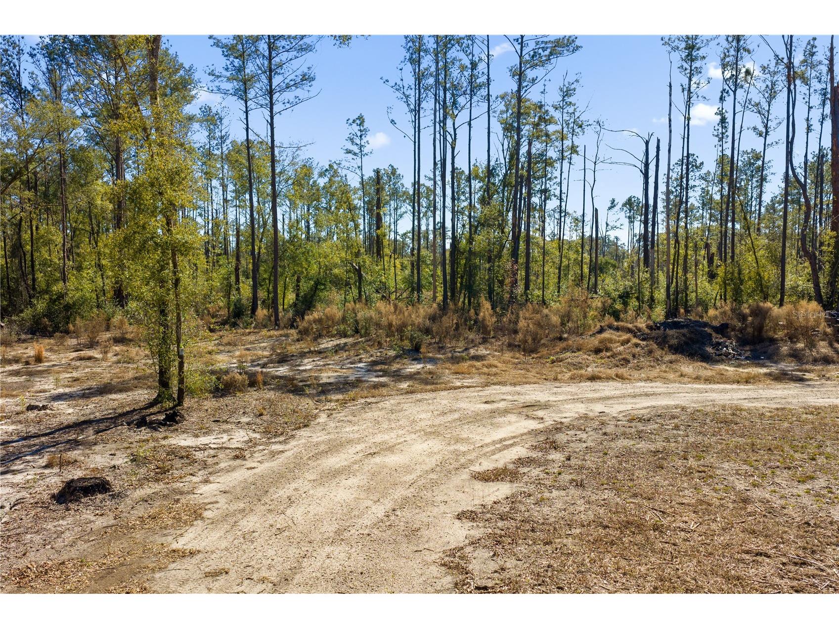 12th Terrace Live Oak FL 32060 TB8468820 image63