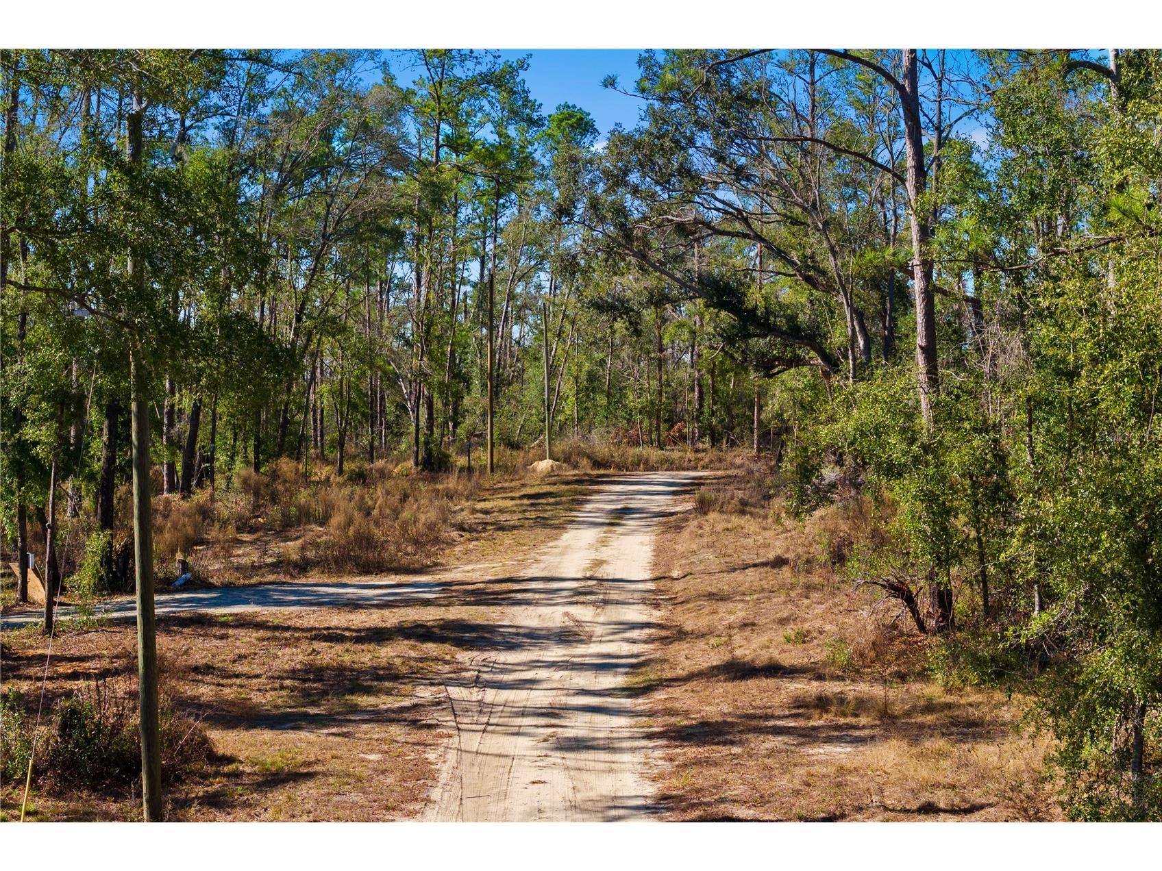 12th Terrace Live Oak FL 32060 TB8468820 image64