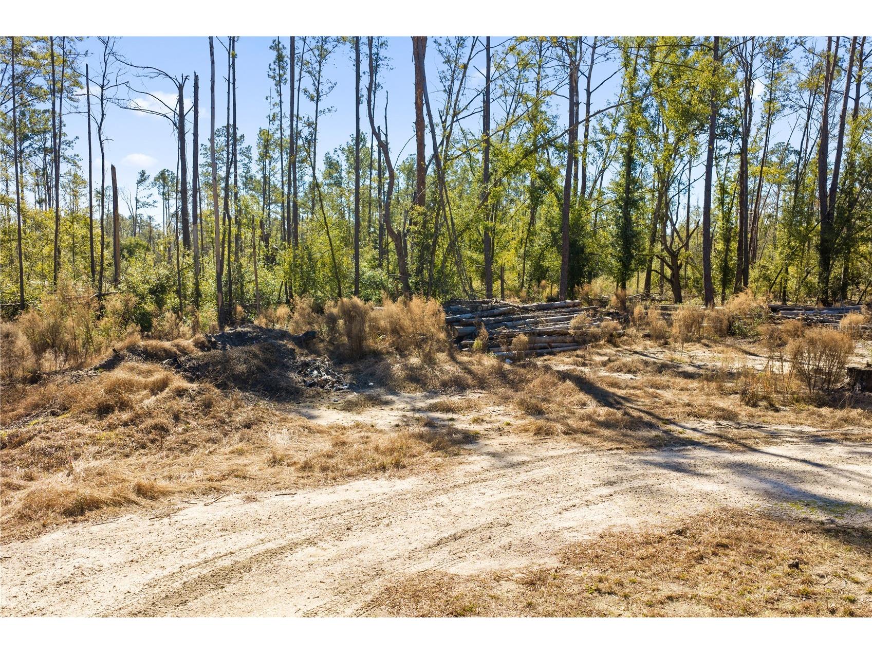 12th Terrace Live Oak FL 32060 TB8468820 image65