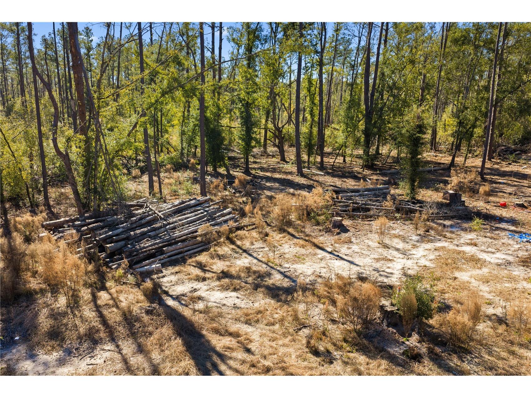 12th Terrace Live Oak FL 32060 TB8468820 image66