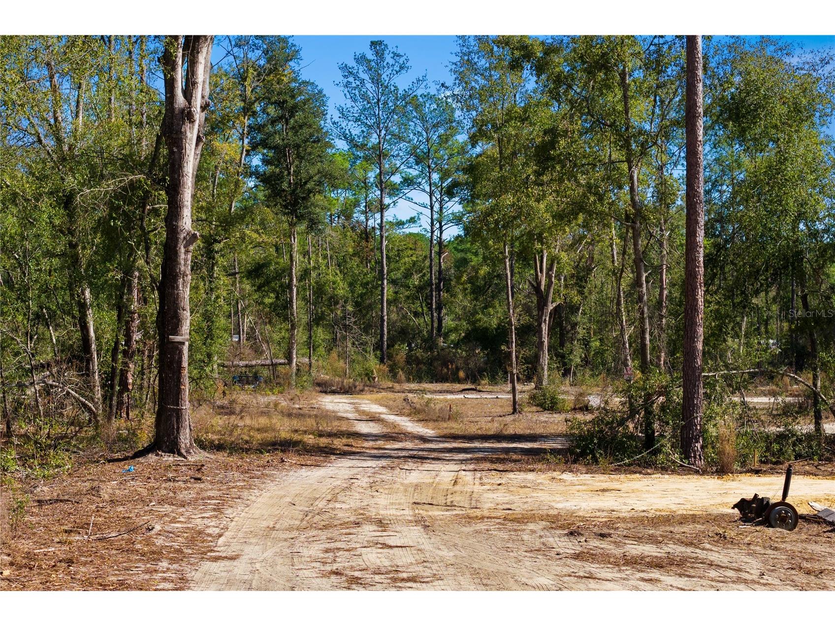 12th Terrace Live Oak FL 32060 TB8468820 image67