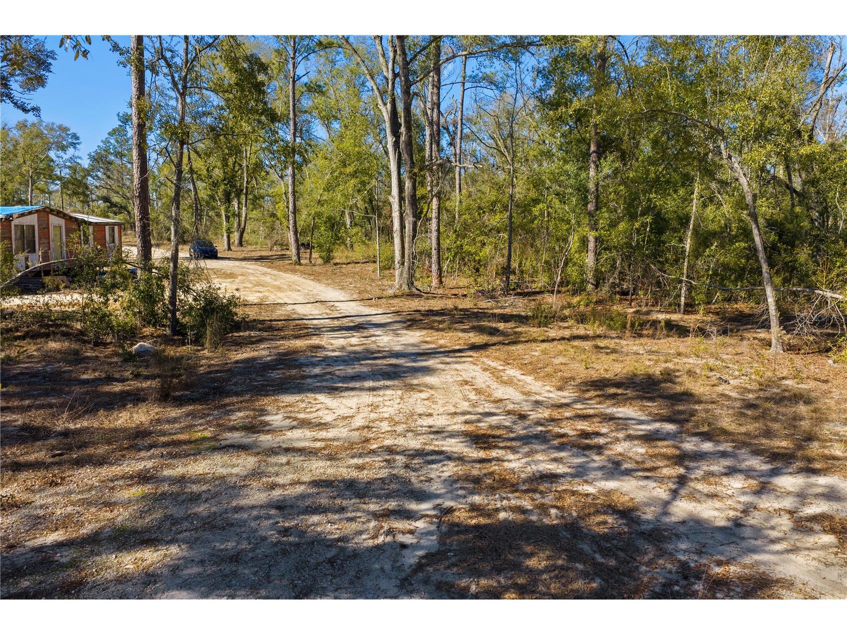 12th Terrace Live Oak FL 32060 TB8468820 image69