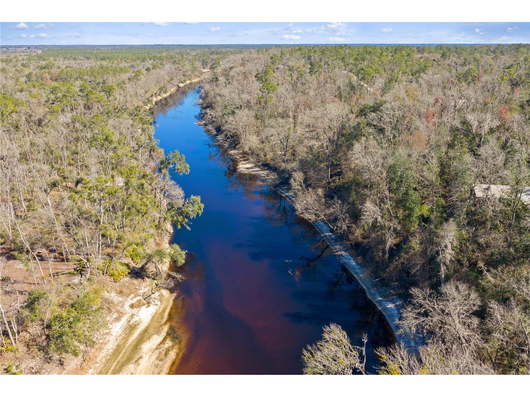 12th Terrace Live Oak FL 32060 TB8468820 image8