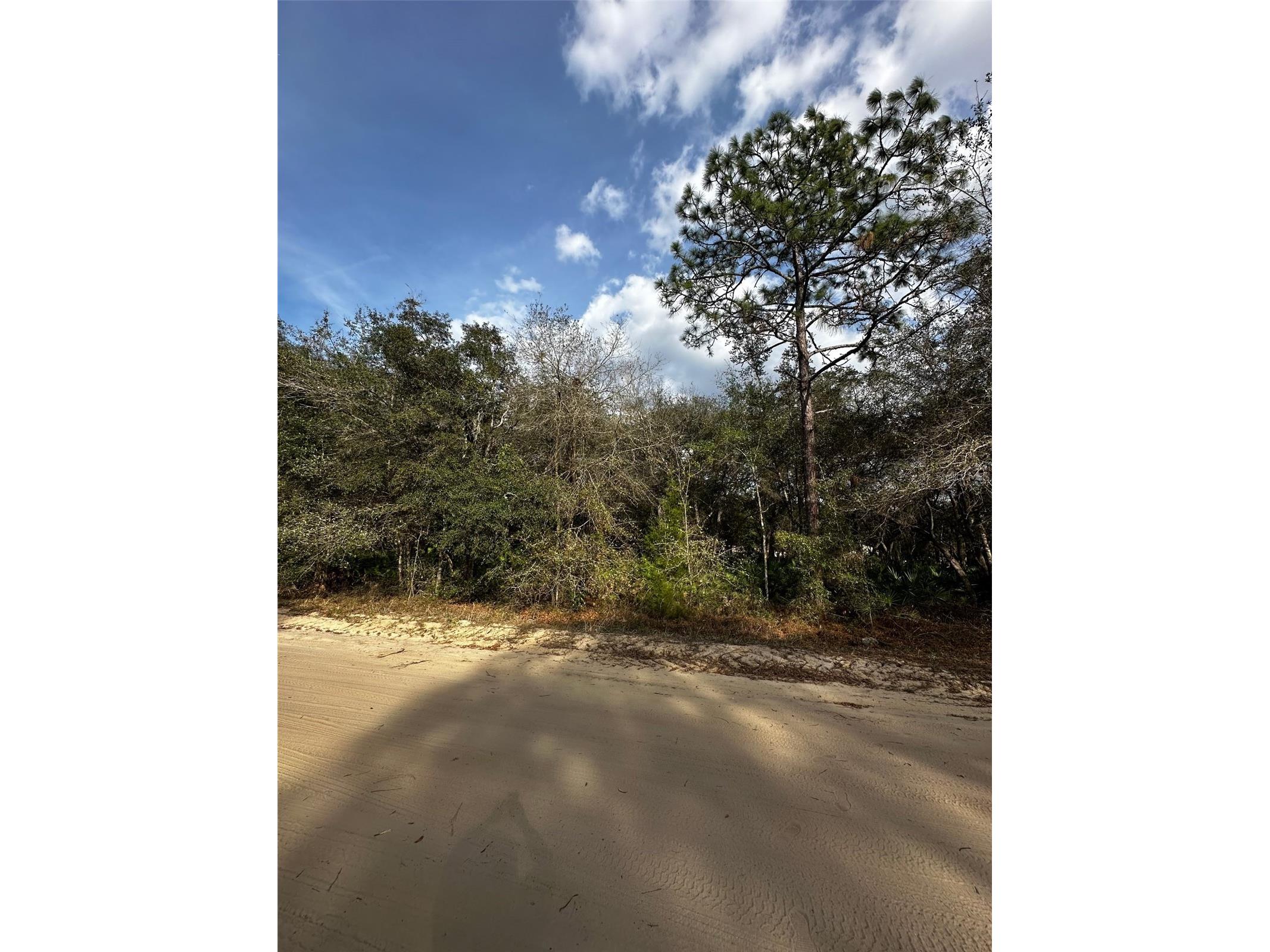 13-10-24-4079-0060-0040 Interlachen FL 32148 O6407355 image1