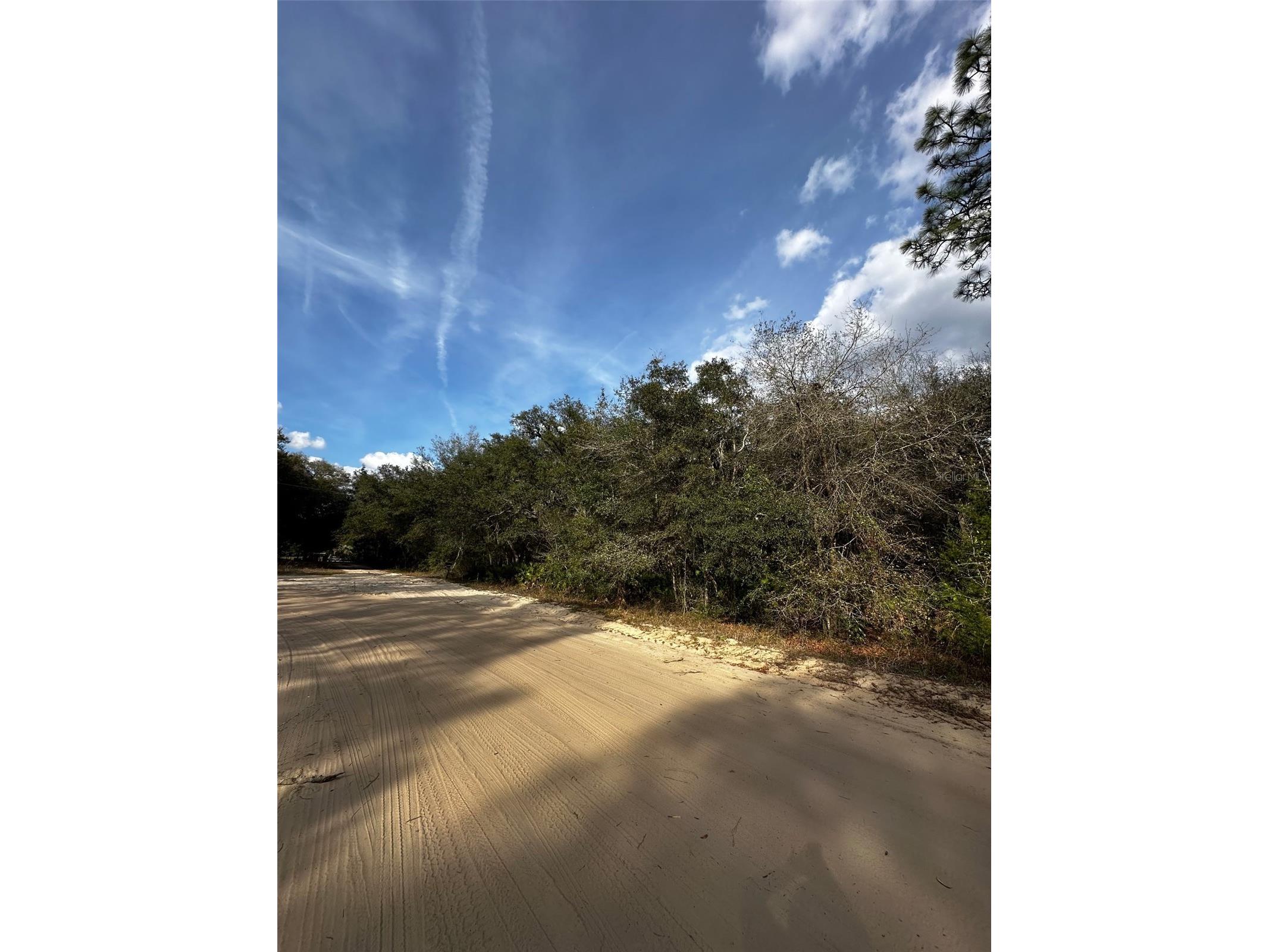 13-10-24-4079-0060-0040 Interlachen FL 32148 O6407355 image2