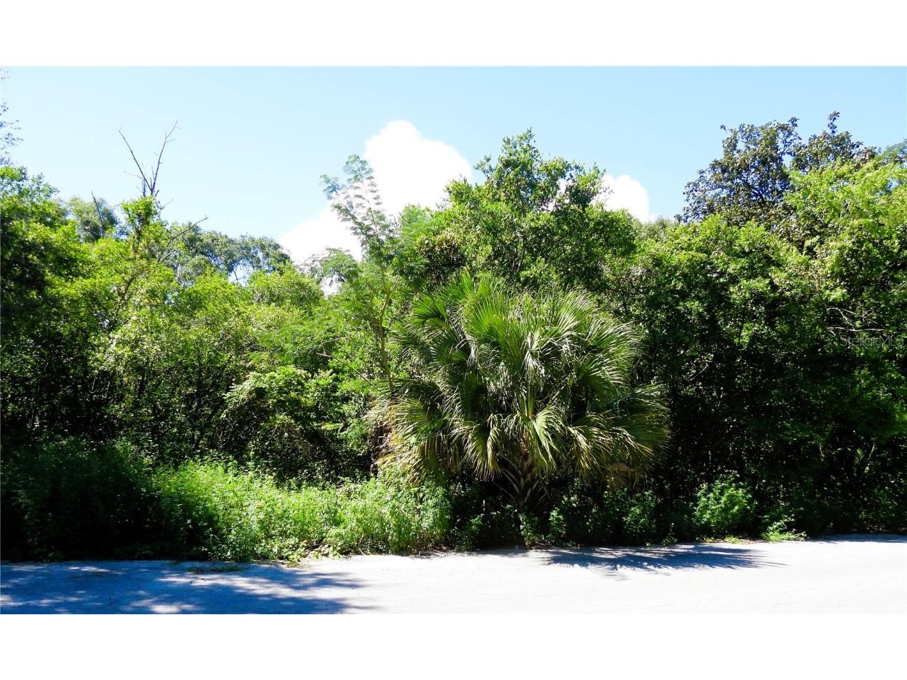 130th Place Ocklawaha FL 32179 OM708993 image1