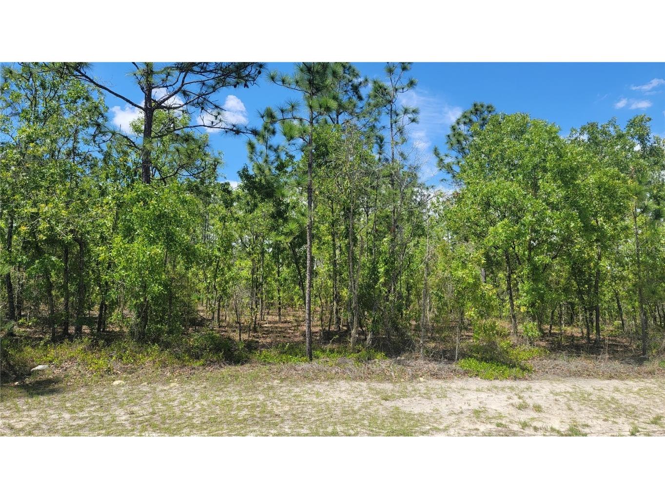 131st Lane Ocala FL 34473 S5101580 image1