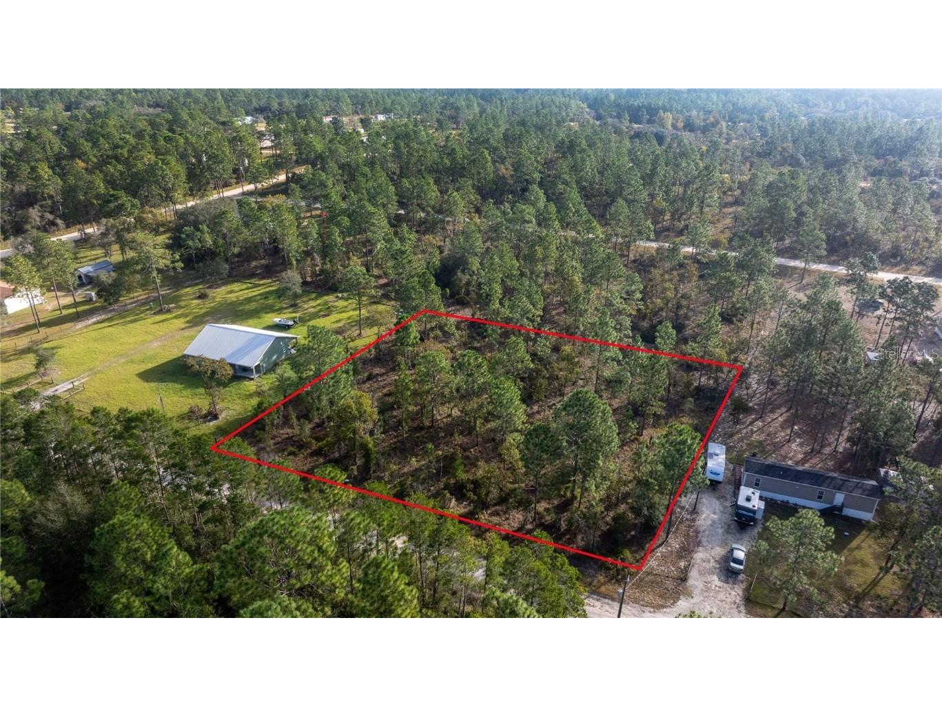 131st Williston FL 32696 OM688065 image1