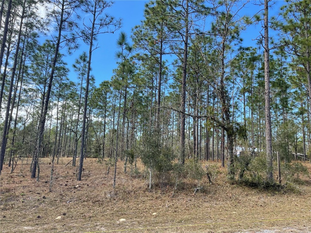 133 Avenue Se Avenue SE Dunnellon FL 34431 TB8447618 image3