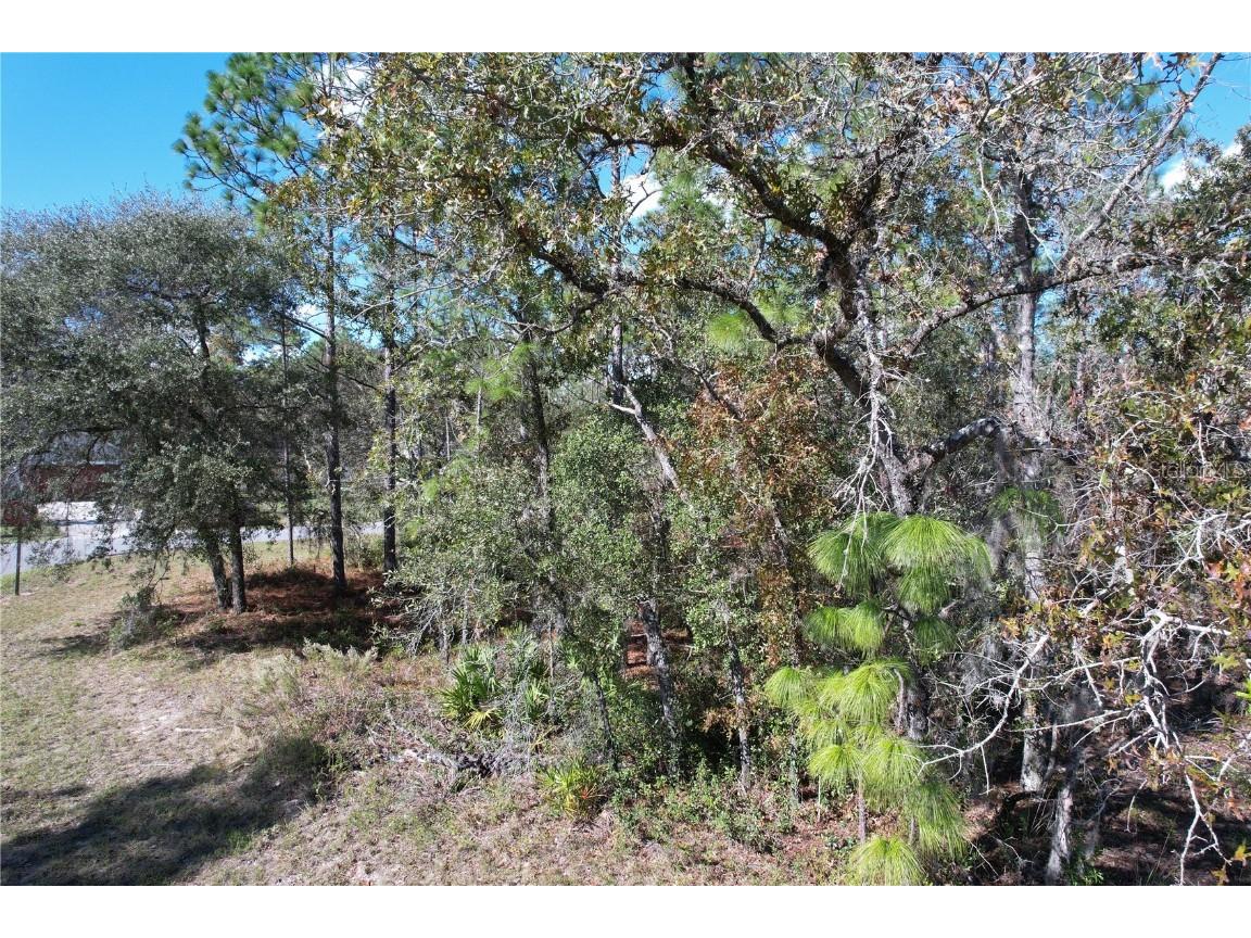 133rd Lane Ocala FL 34473 O6158838 image1
