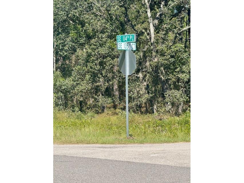 135 Court SE Dunnellon FL 34431 TB8517876 image2