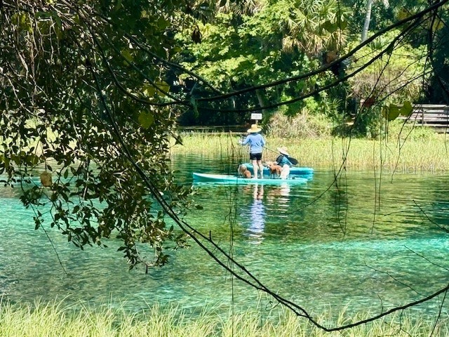 135 Court SE Dunnellon FL 34431 TB8517876 image5