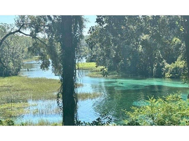 135 Court SE Dunnellon FL 34431 TB8517876 image7