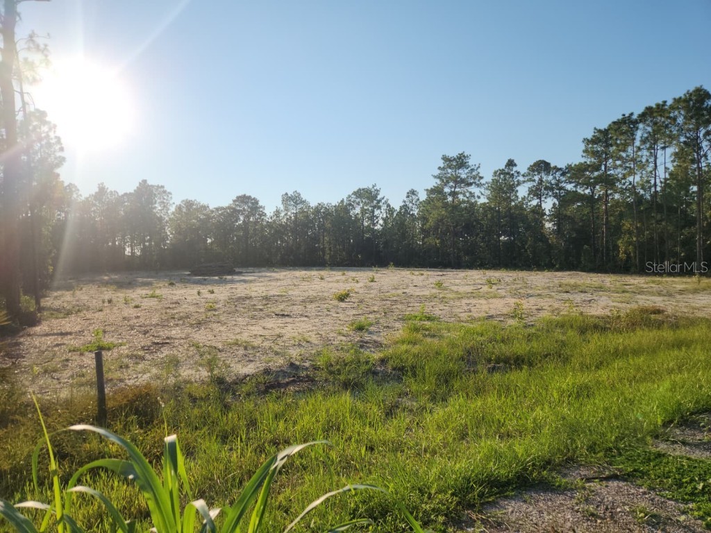 135th Avenue Ocala FL 34481 P4936642 image1