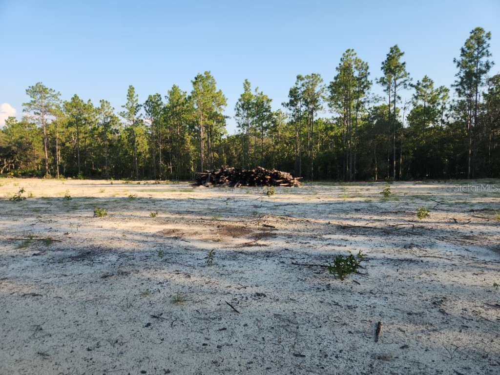 135th Avenue Ocala FL 34481 P4936642 image2