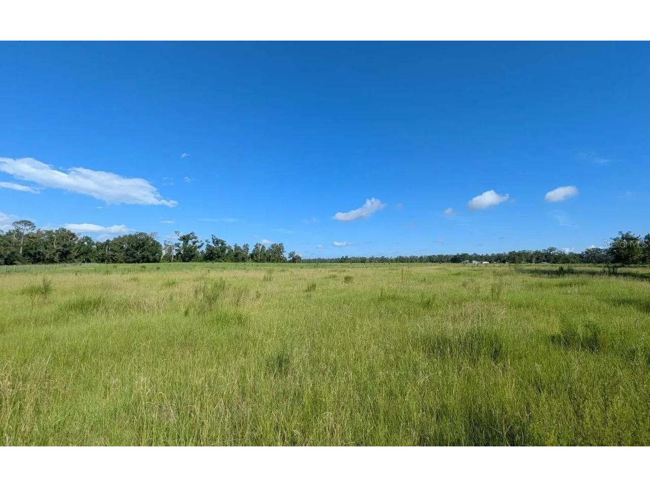 136 Street Live Oak FL 32060 J996947 image1