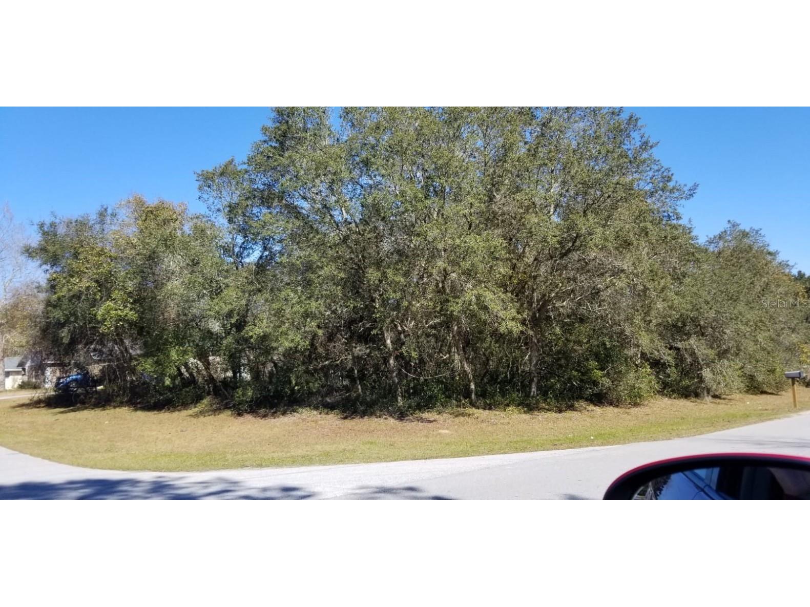 137th Loop SW Ocala FL 34473 OM652403 image1