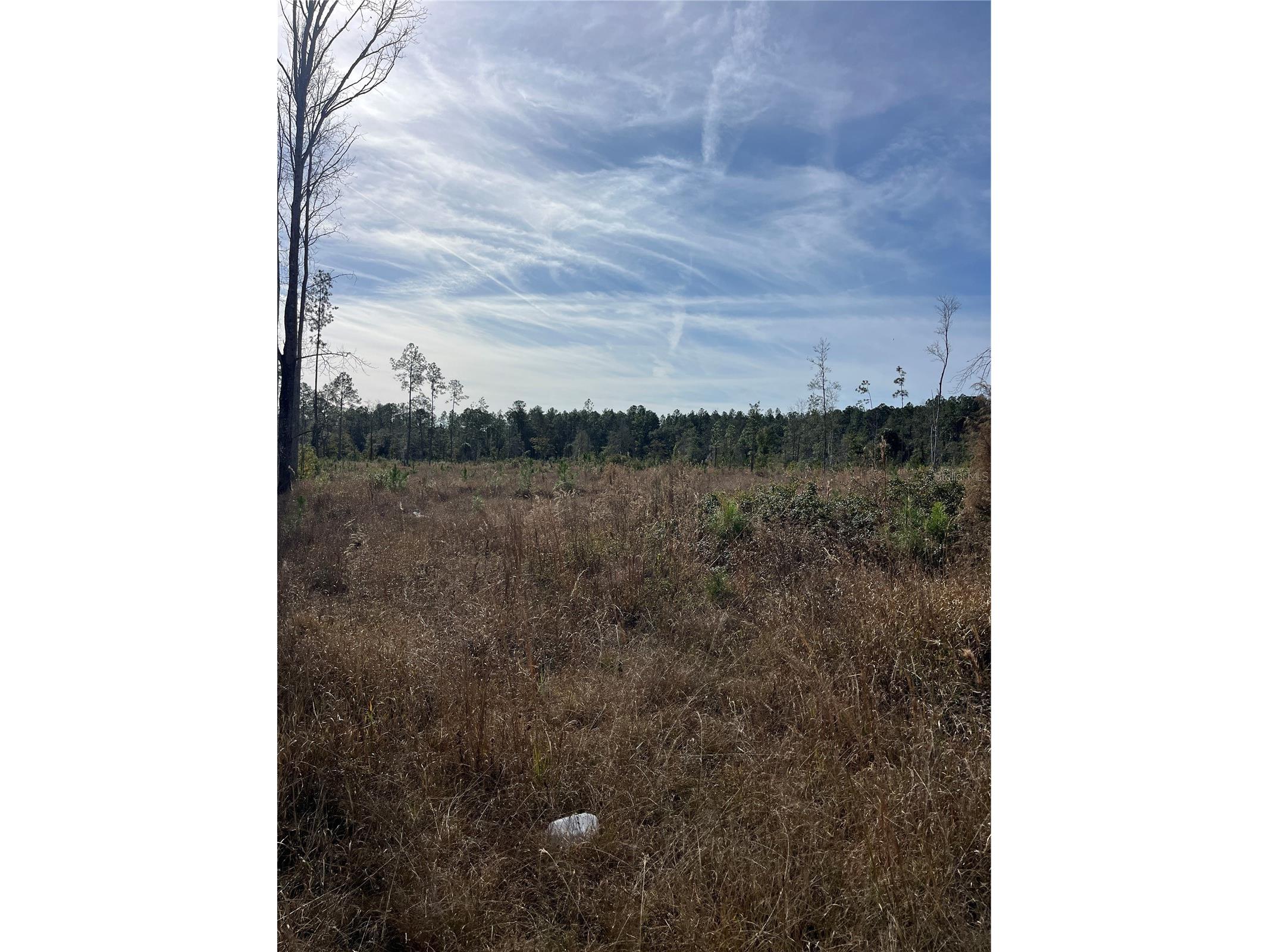 137th Place NE Citra FL 32113 OM716632 image1