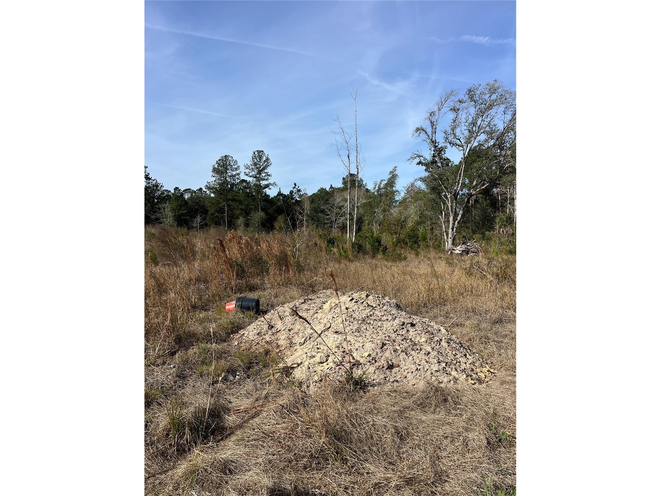 137th Place NE Citra FL 32113 OM716632 image3