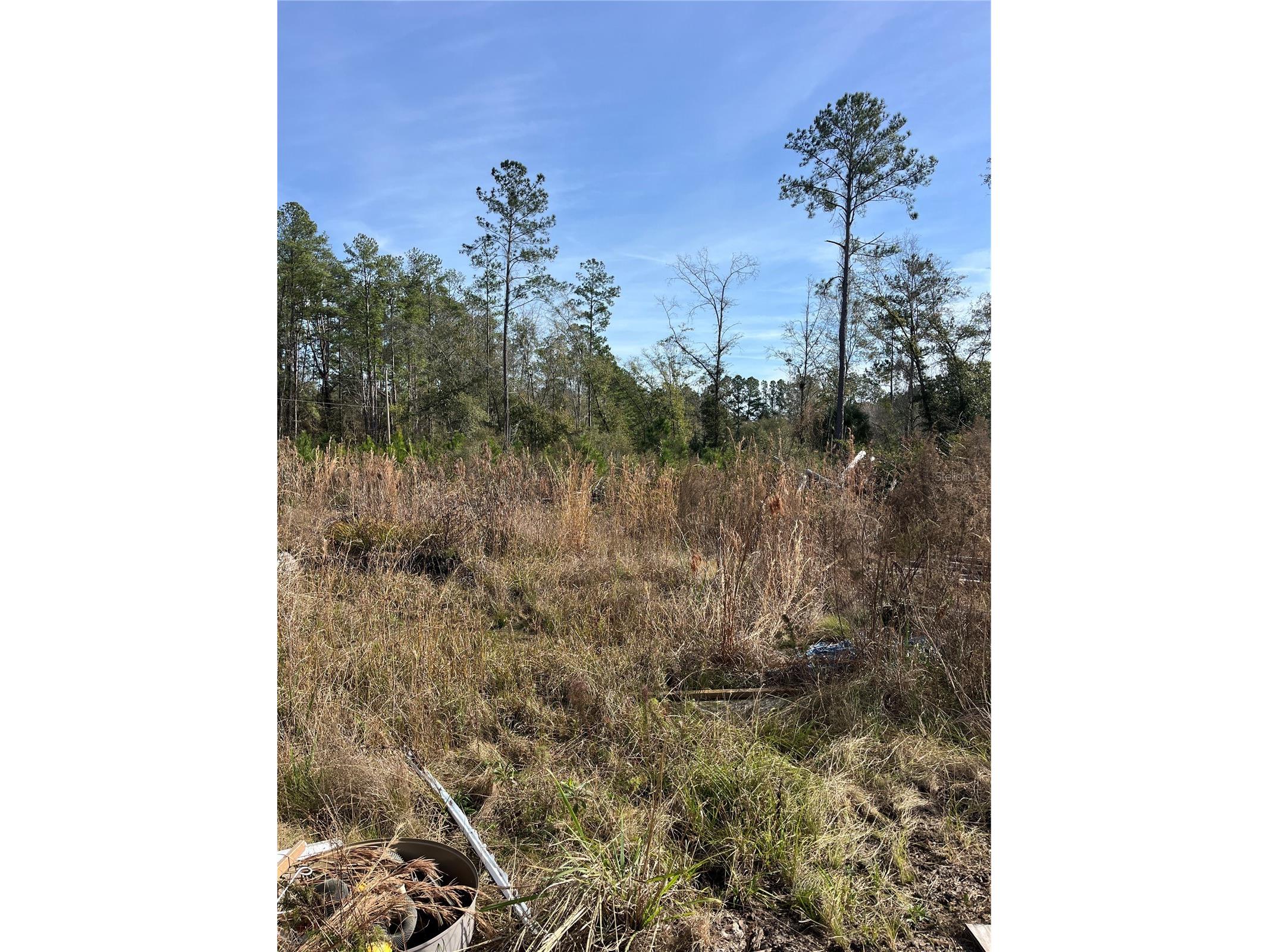 137th Place NE Citra FL 32113 OM716632 image4