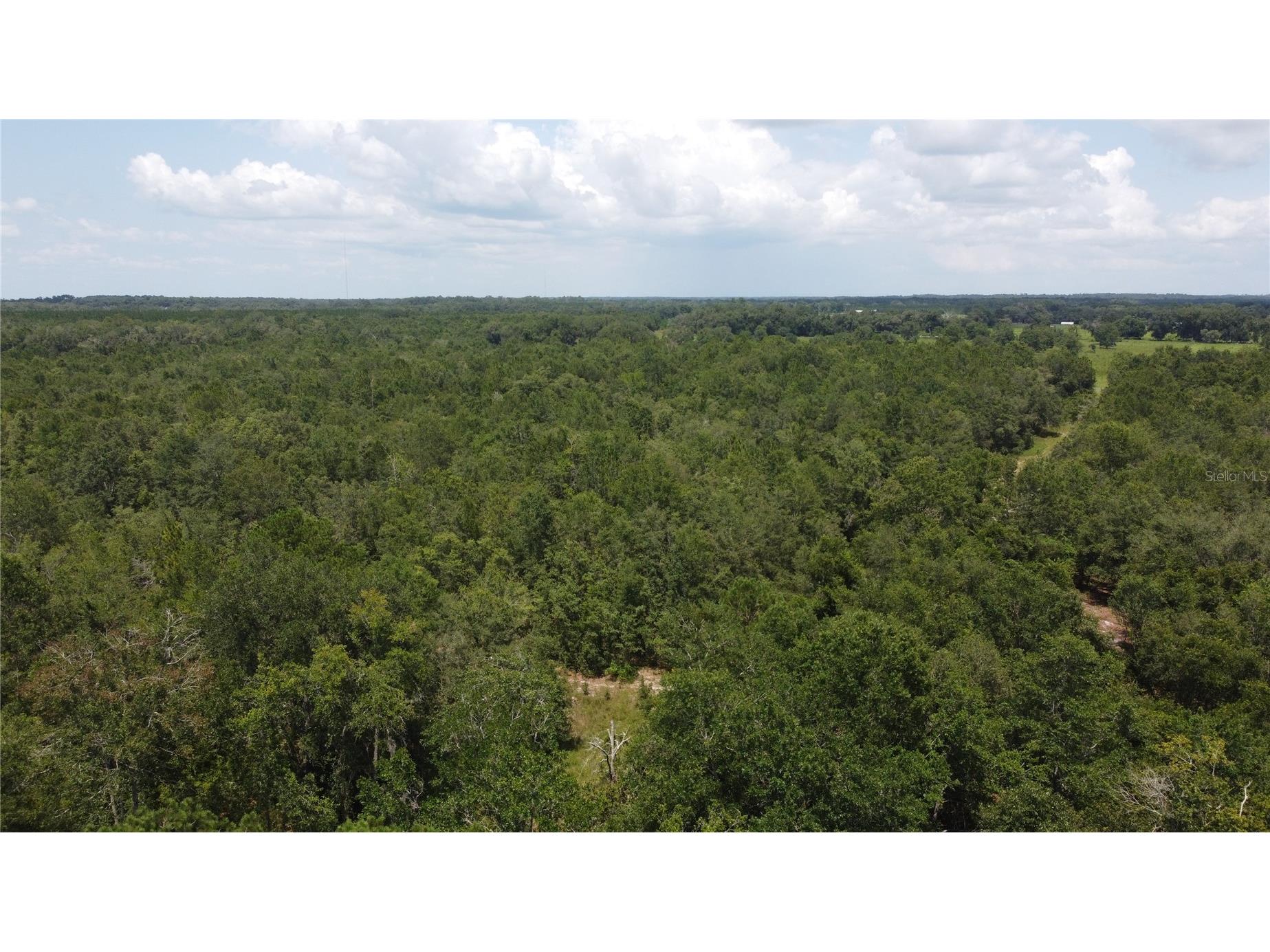 138th Street Live Oak FL 32060 OM727946 image6