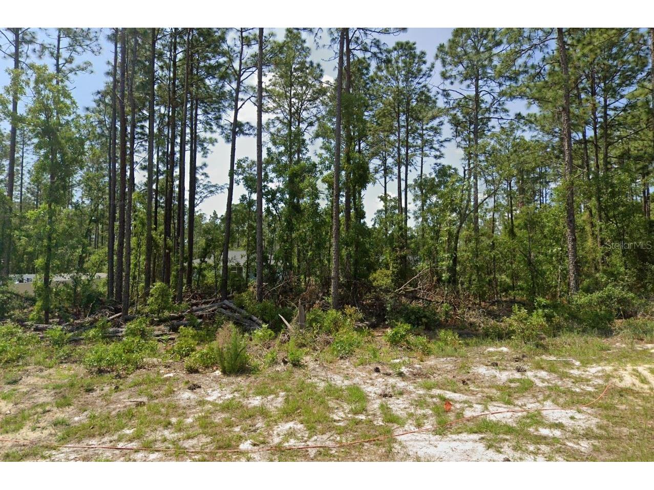 139 St Ocala FL 34473 J997339 image1