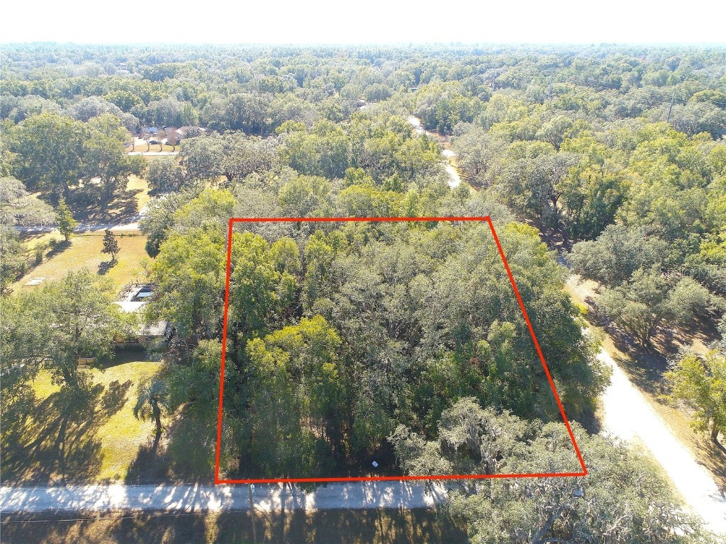 139th Court Dunnellon FL 34432 OK224486 image1