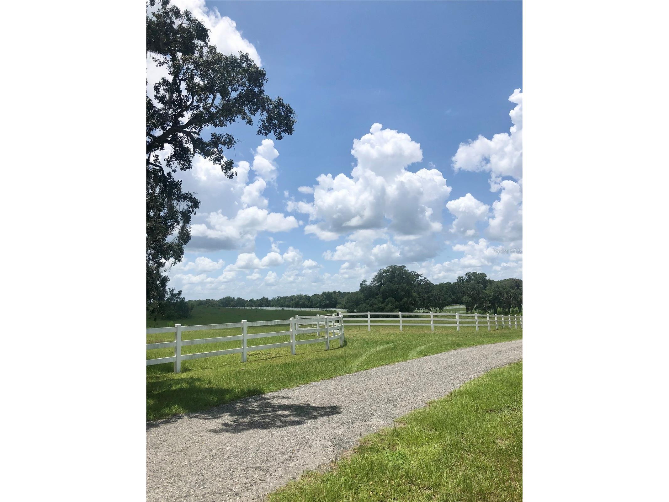 14 Eagle Ridge Bushnell FL 33513 O6378781 image13