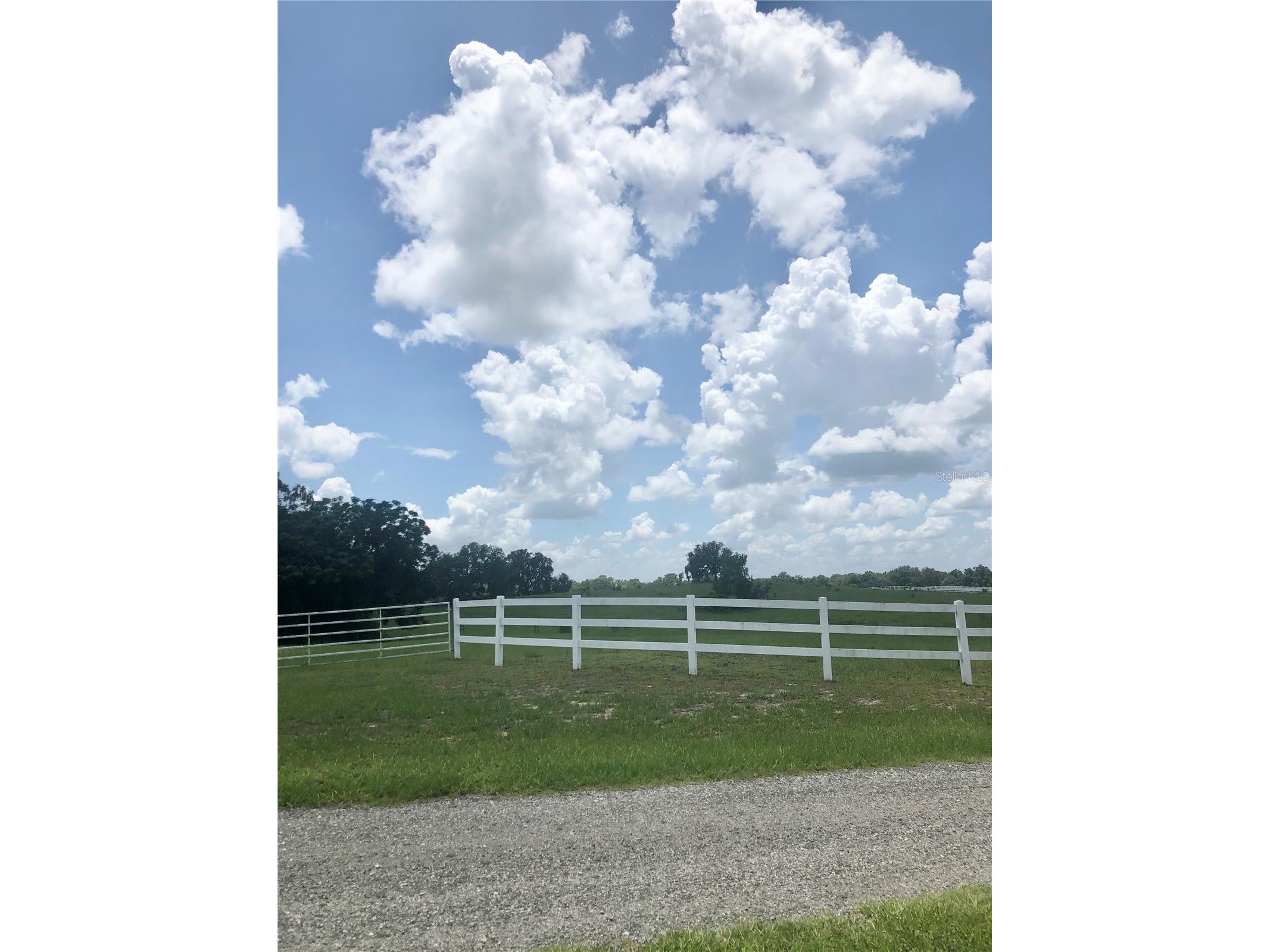 14 Eagle Ridge Bushnell FL 33513 O6378781 image14