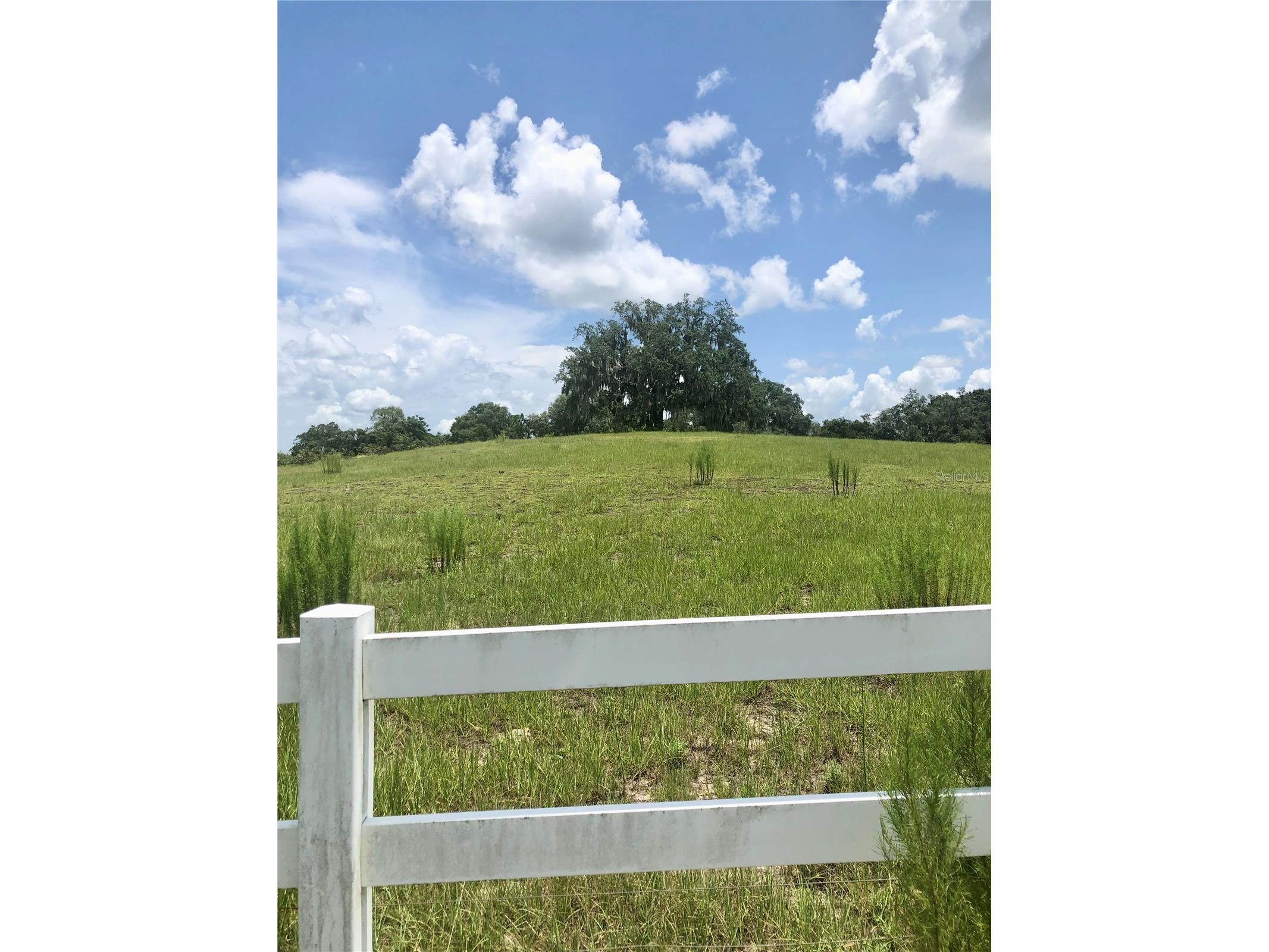 14 Eagle Ridge Bushnell FL 33513 O6378781 image15