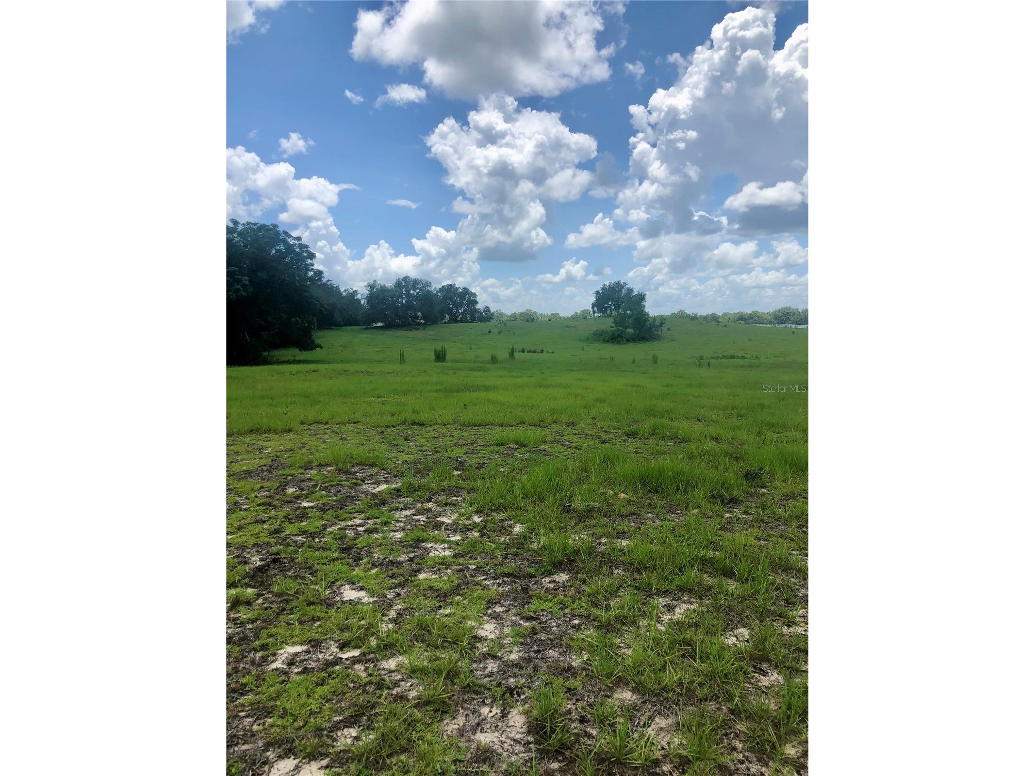 14 Eagle Ridge Bushnell FL 33513 O6378781 image16