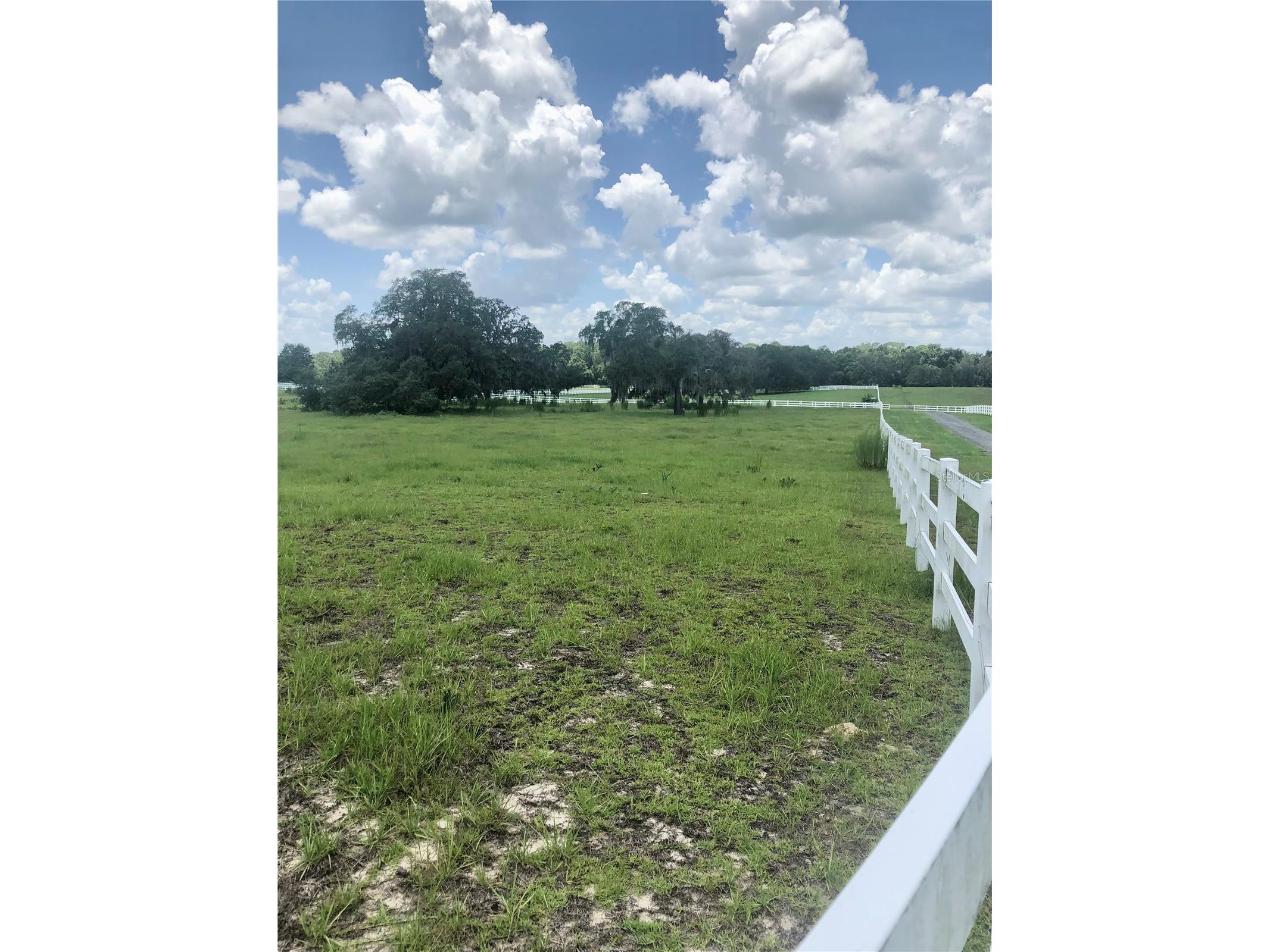 14 Eagle Ridge Bushnell FL 33513 O6378781 image17