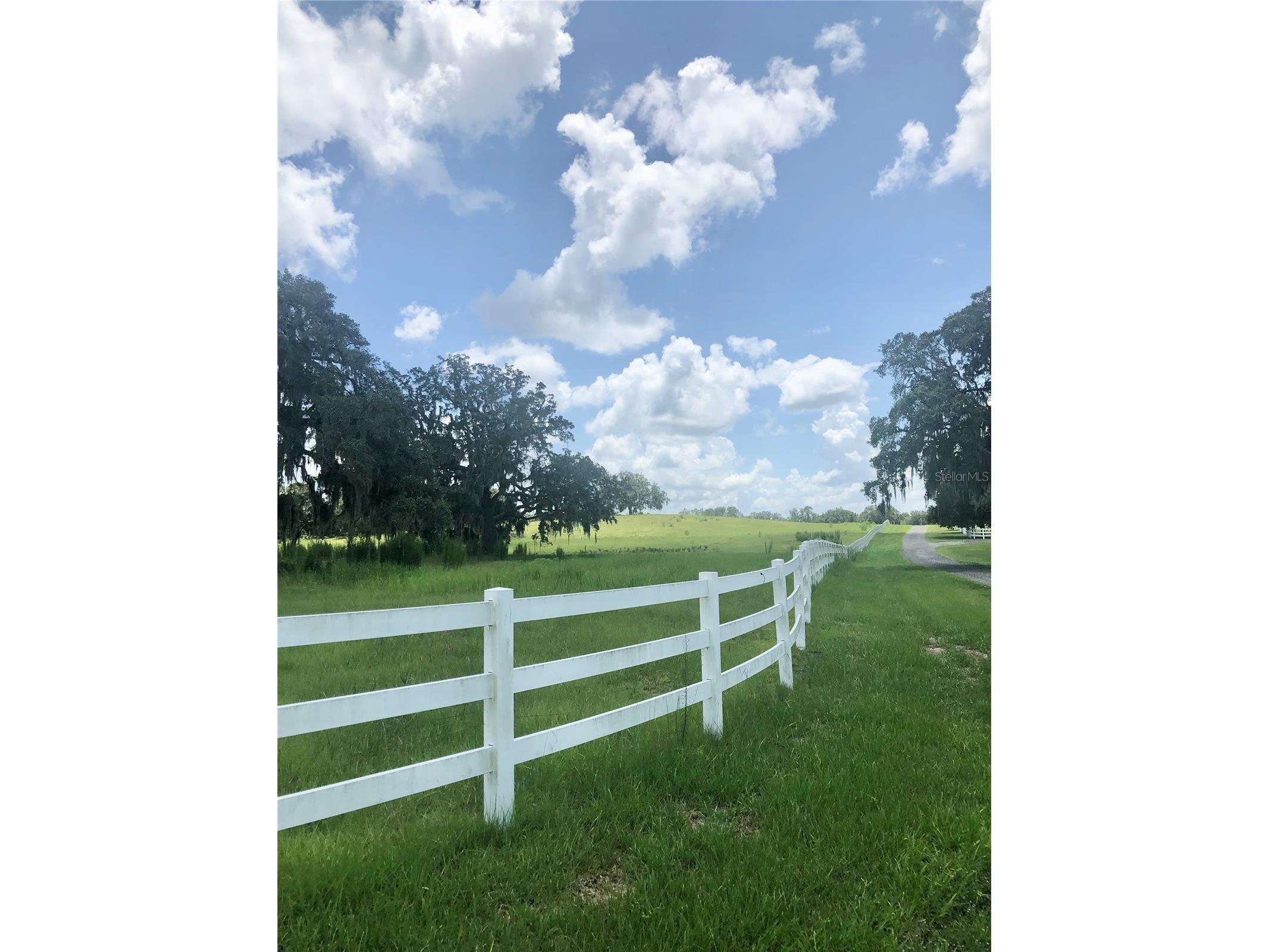 14 Eagle Ridge Bushnell FL 33513 O6378781 image18