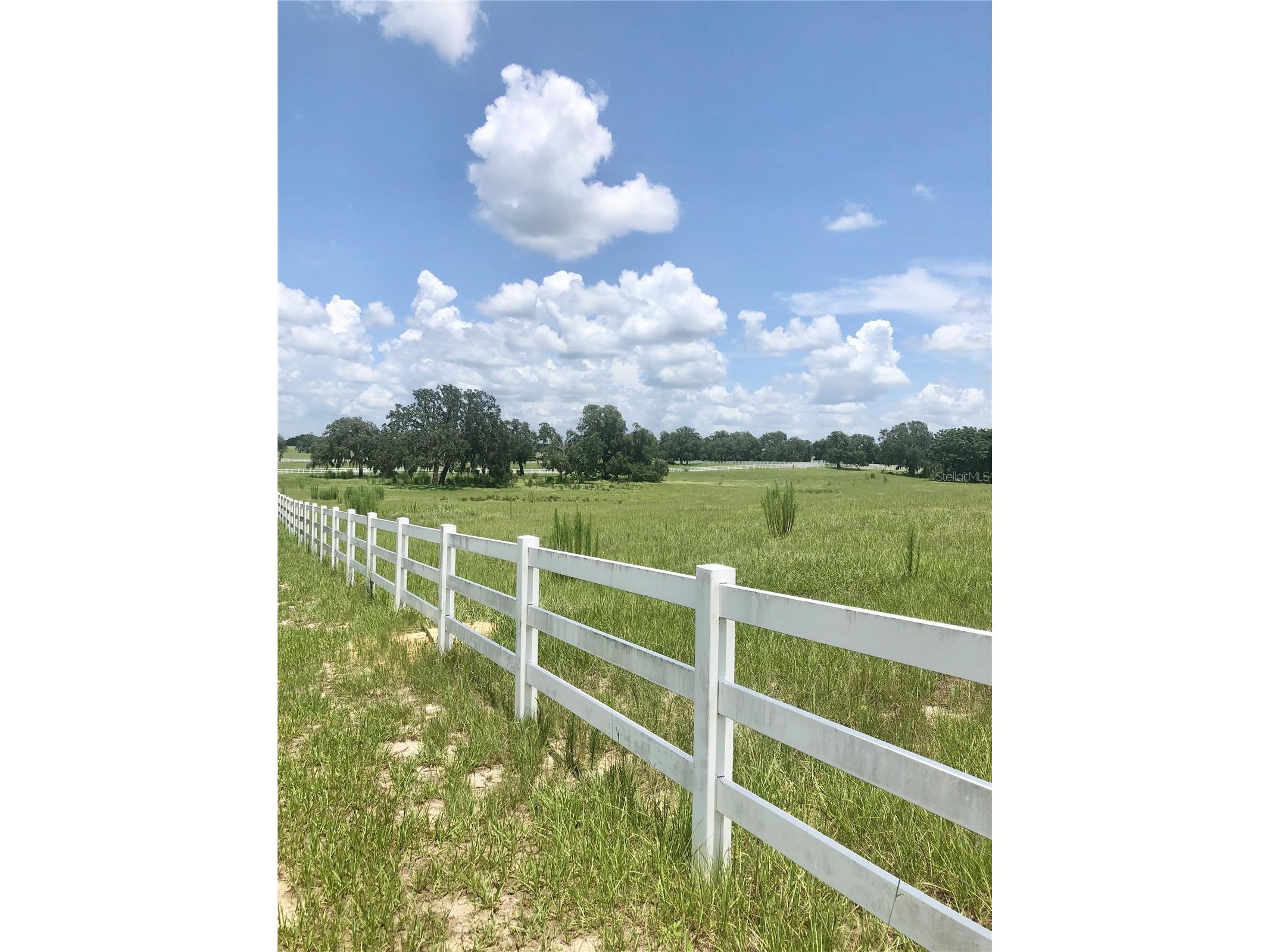 14 Eagle Ridge Bushnell FL 33513 O6378781 image19
