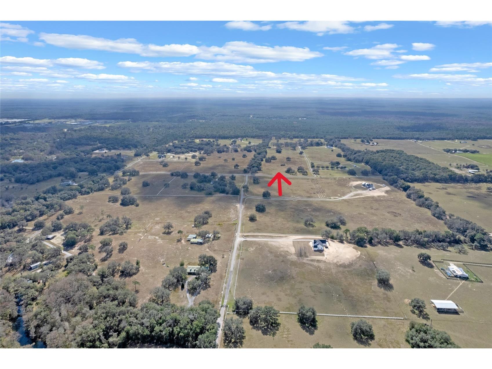 14 Eagle Ridge Bushnell FL 33513 O6378781 image3