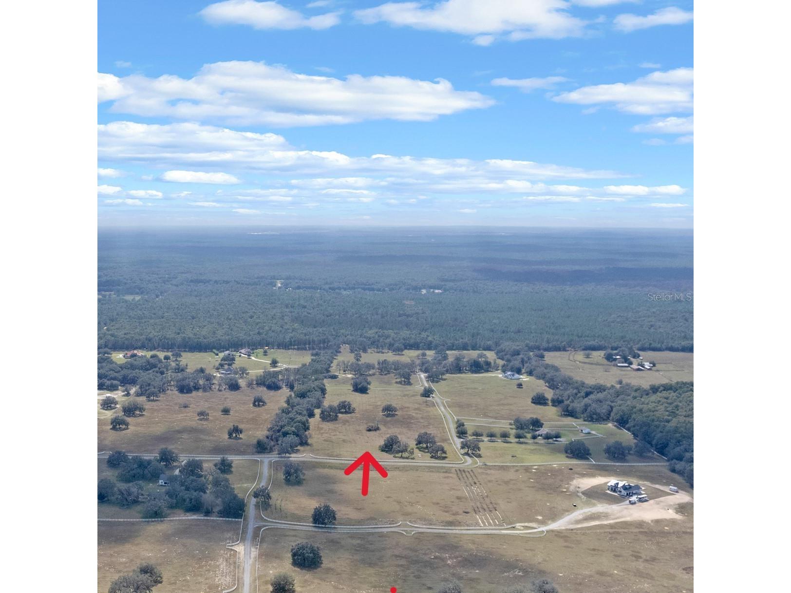 14 Eagle Ridge Bushnell FL 33513 O6378781 image4