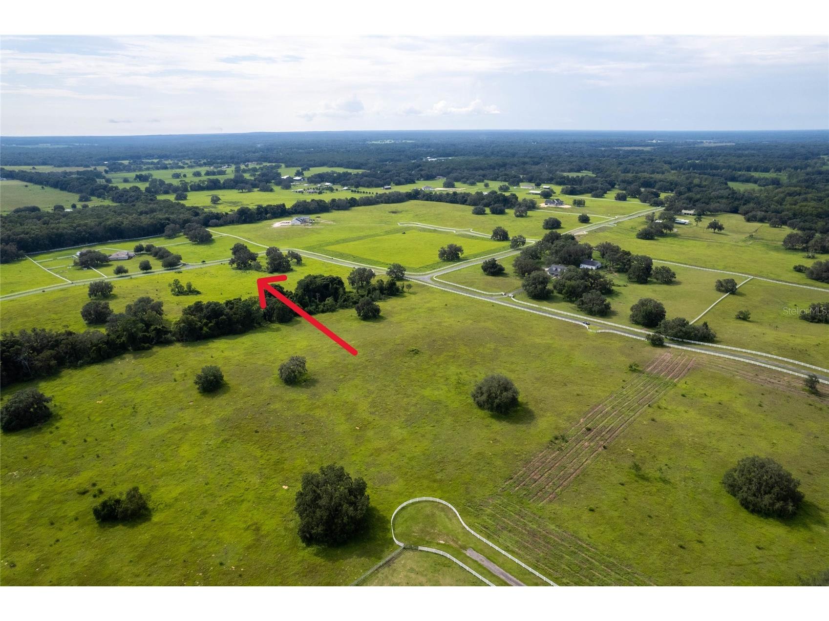 14 Eagle Ridge Bushnell FL 33513 O6378781 image7